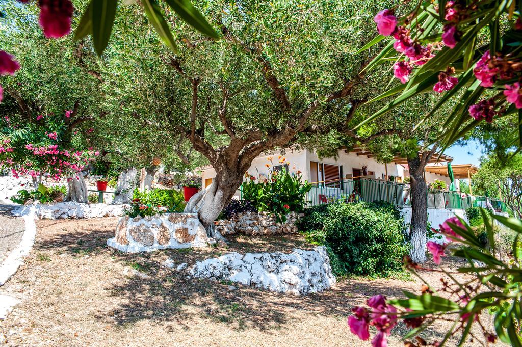 Aparthotel Rogakia Village Est. 1983 *